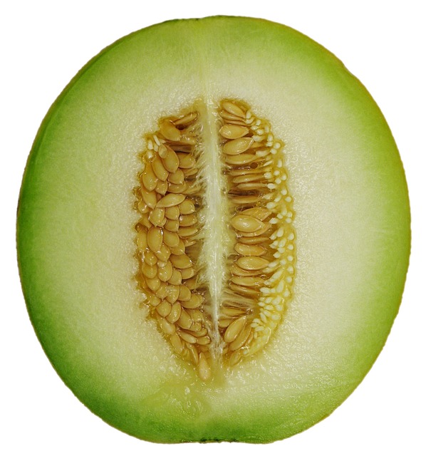 honeydew melons