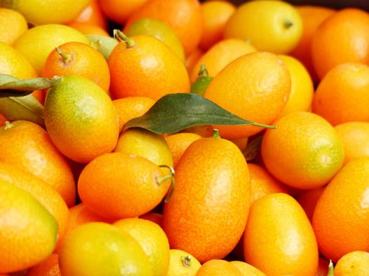 kumquats
