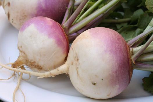 turnips