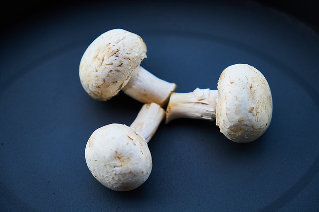 white mushrooms